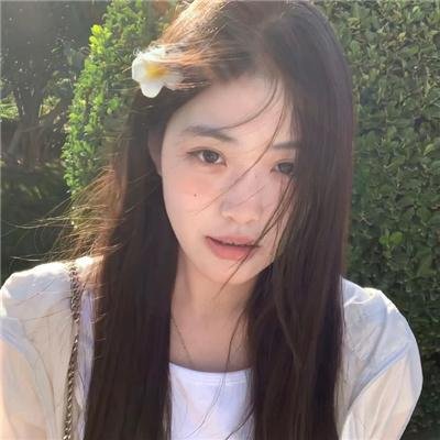 少年骑士